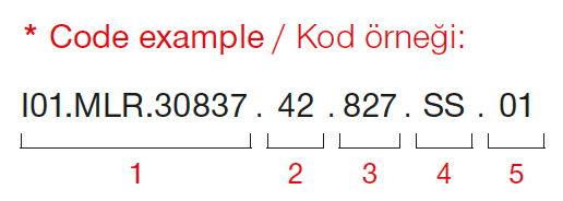 Dragon – Code Example