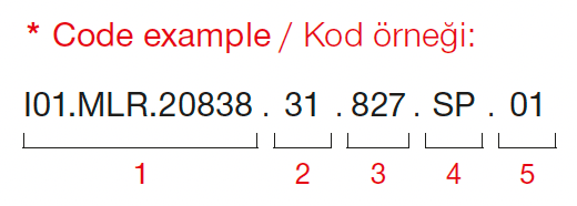 Dragon Mini – Codebeispiel