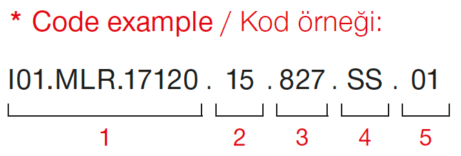 Luxar 87 – Kod Örneği
