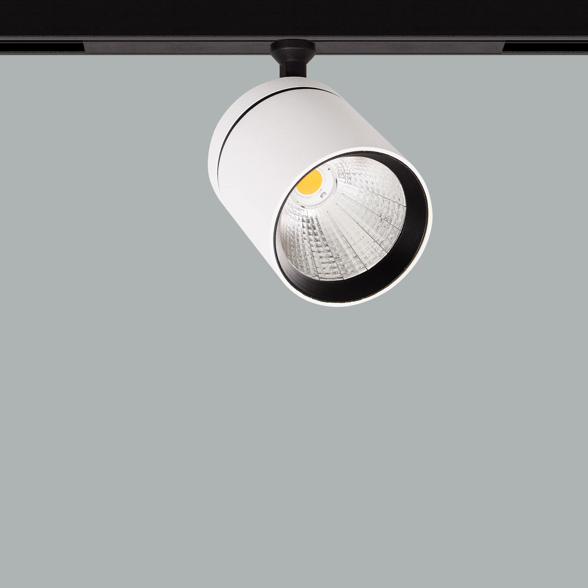 Firefly 48V Maxi