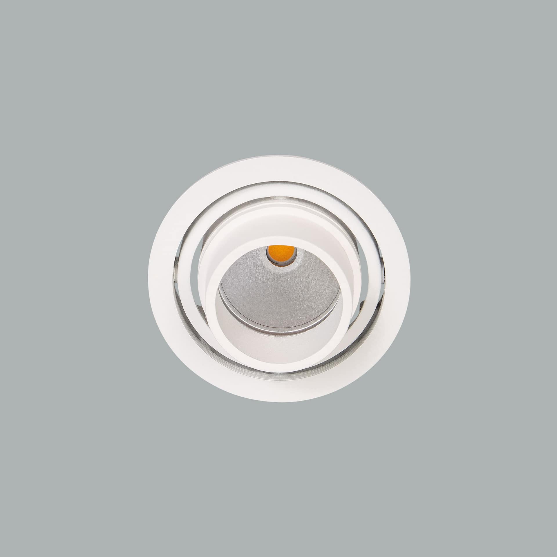 Luxon Focus
