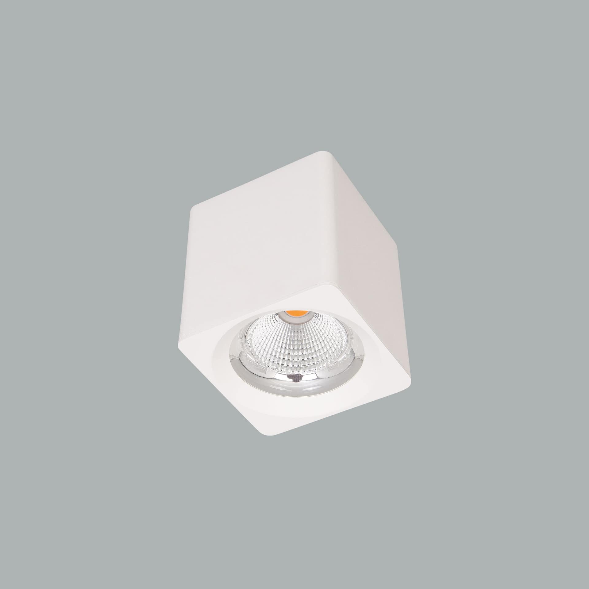 Venus Mini