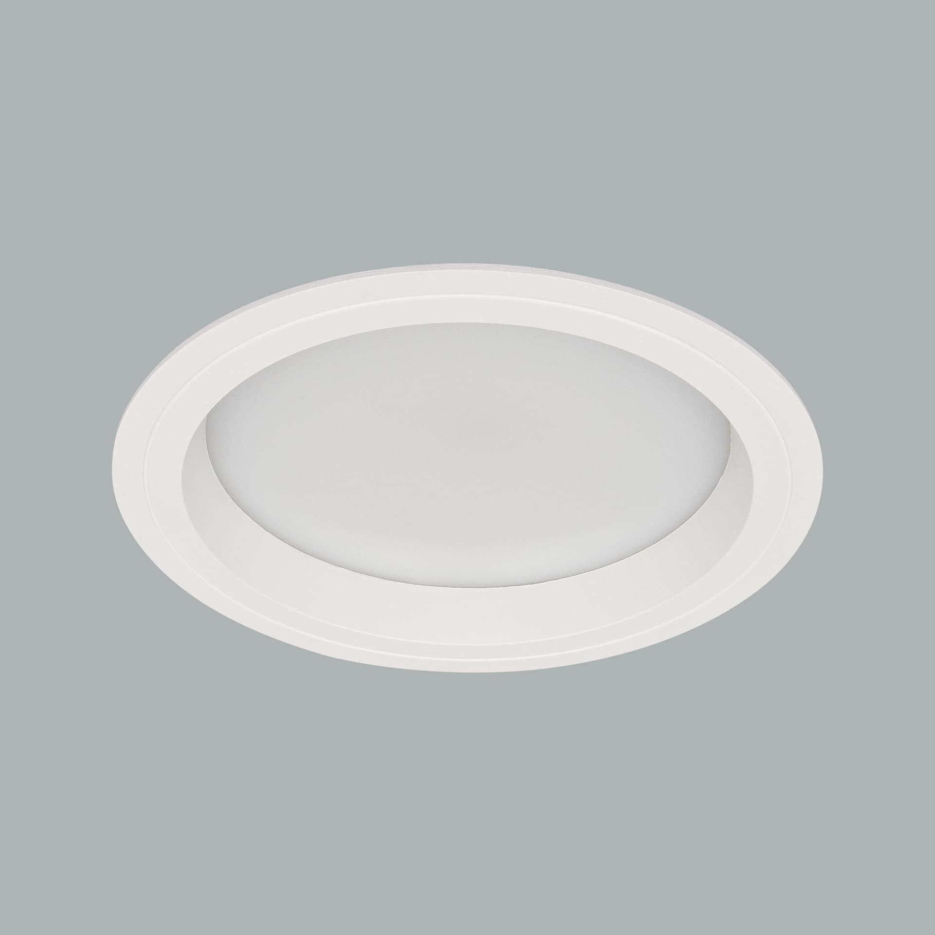 Neptun Mega Downlight