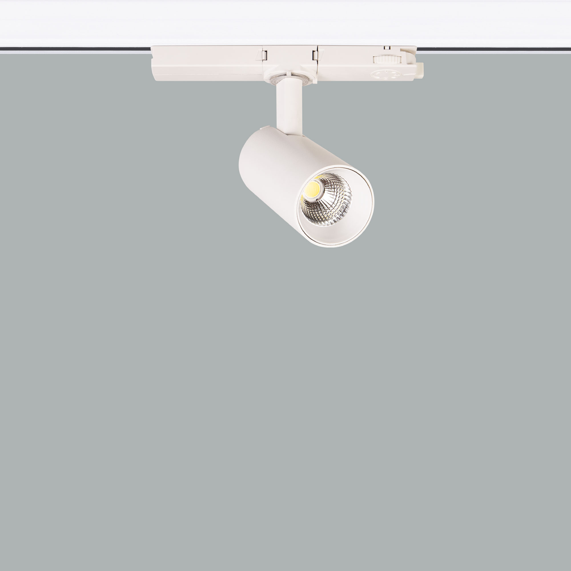 Silindir Trex Mini